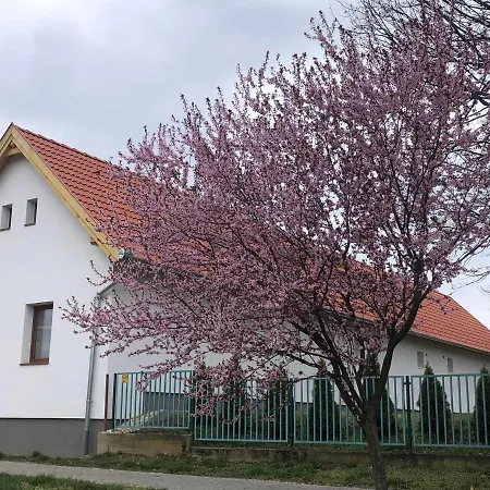 Fazekas Vendeghaz Guest house Balatonkeresztur
